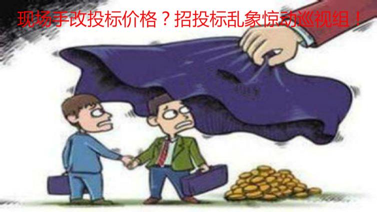 现场手改投标价格？招投标乱象惊动巡视组！